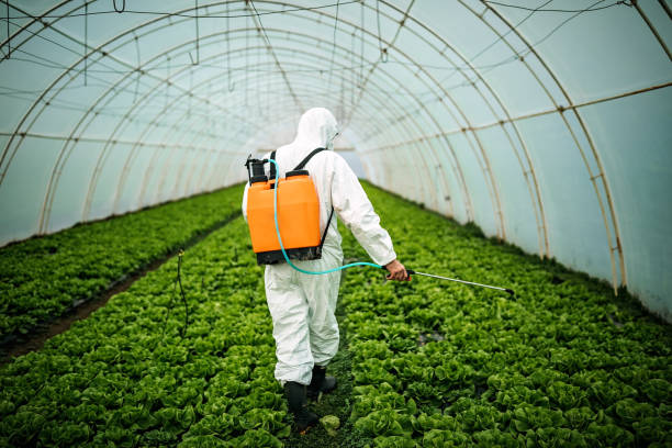 Pest Control for Restaurants in Kingsford Heights, IN