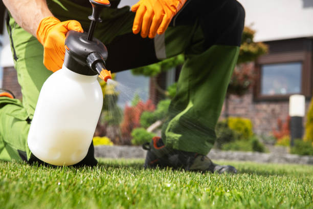 Best Local Pest Control Services  in Kgsford Heights, IN
