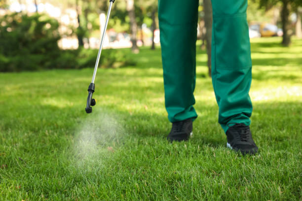 Best Exterminator Services  in Kgsford Heights, IN