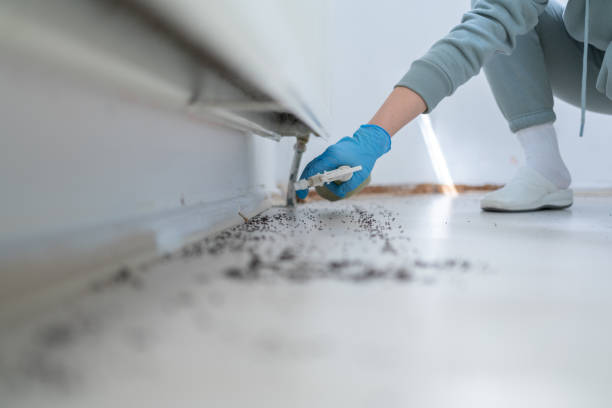 Best Cockroach Control Services  in Kgsford Heights, IN