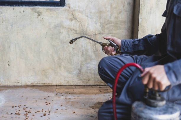Best Pest Control Near Me in Kingsford Heights, IN